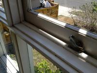 David Burgess Window Clean After - After an internal, external and rail clean.