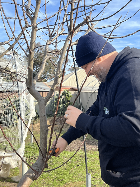 Completed pruning training with Outdoors Indoors presenter and rose expert, Kim Syrus!