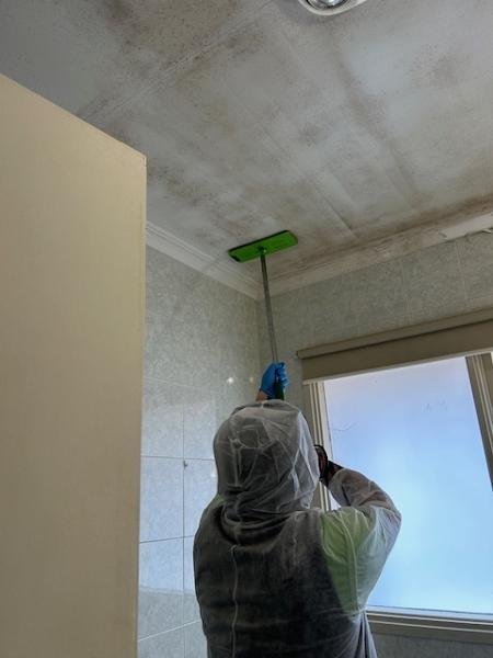 Mould Cleaning - Professional mould removal for a healthier space! We ensure thorough and safe cleaning!