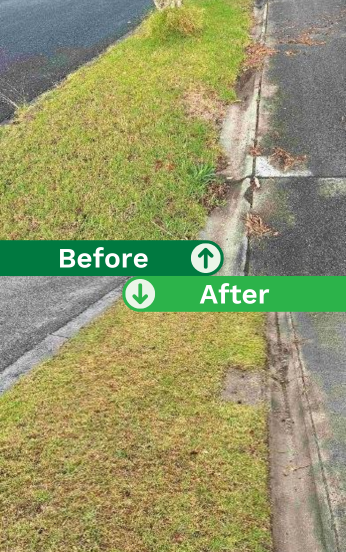 Lawn Mowing Before & After