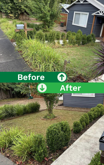 Garden Transformation Before & After