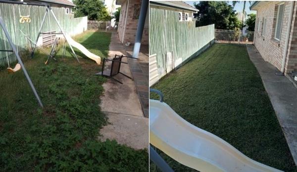 Lawn Mowing - before & after