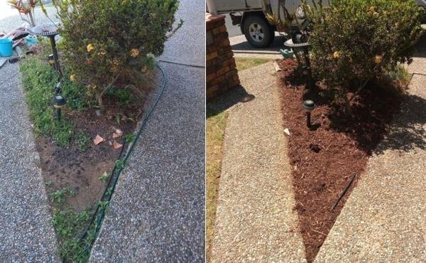 Garden tidy - before & after