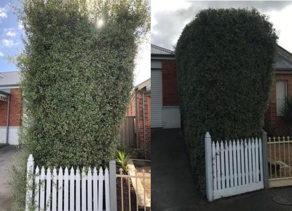 Hedging - before & after