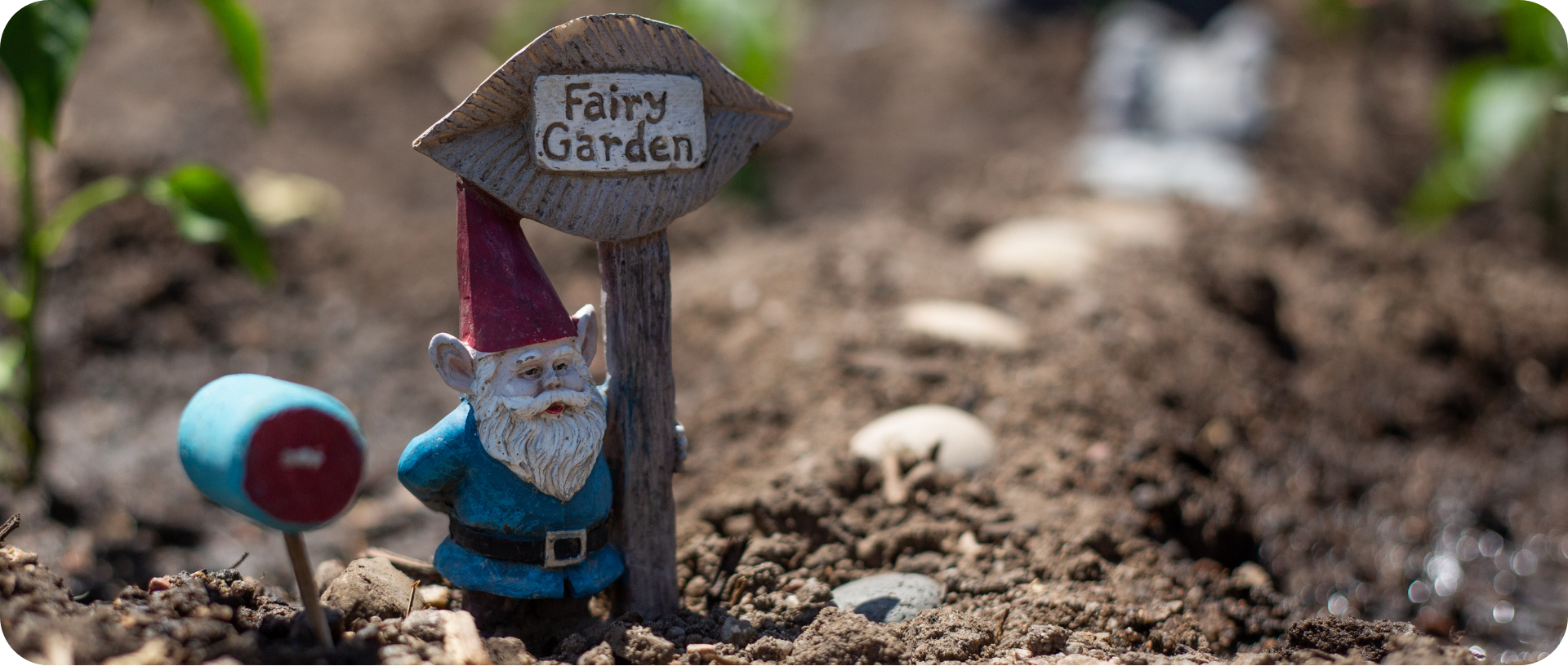 10 Fairy Garden ideas to spark the imagination and delight!