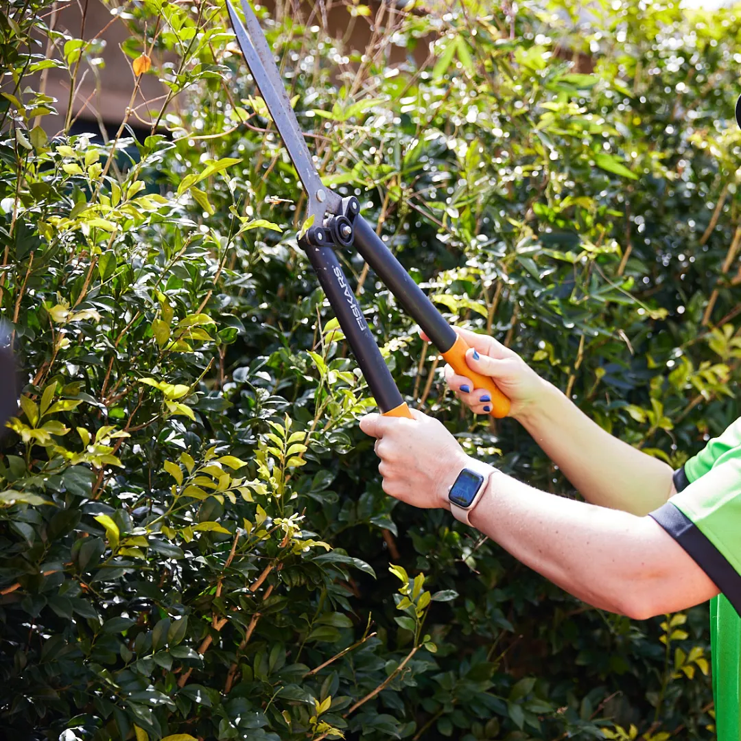 Garden Care near me