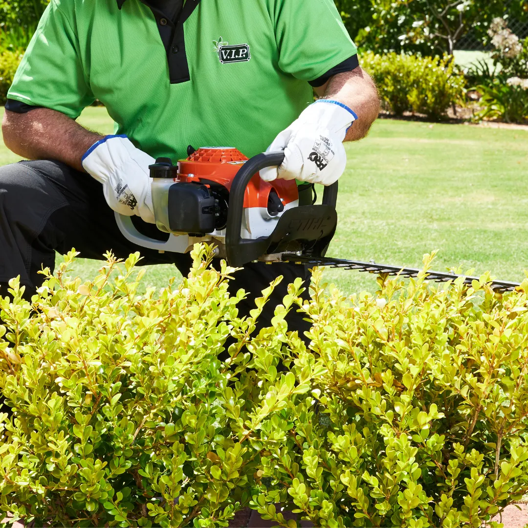 Garden Maintenance - Hedge Trimming near me