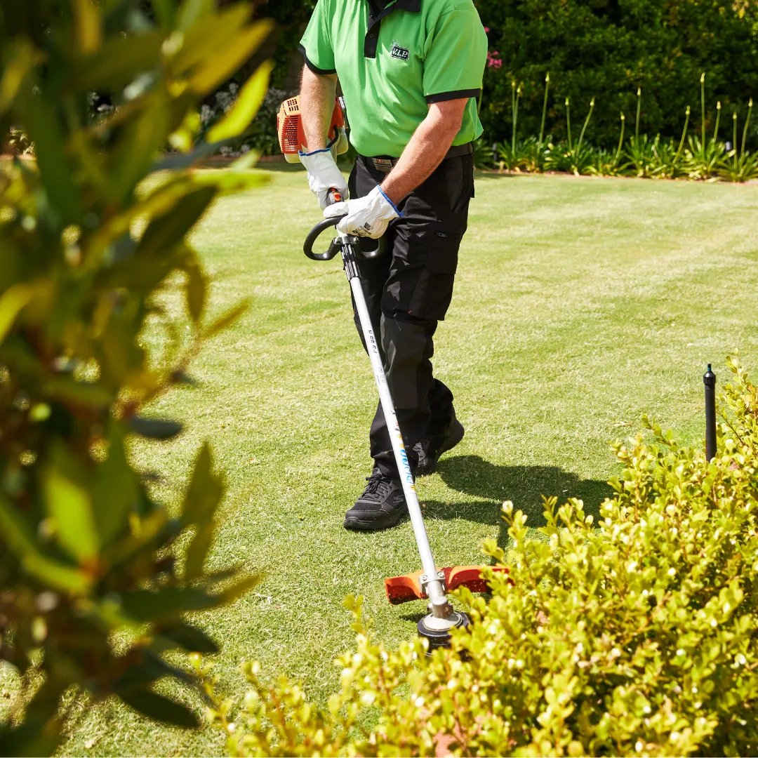 Hedging services near me