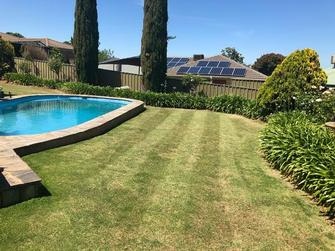 Adam Bartlett - Lawn Maintenance Cylinder Mowing