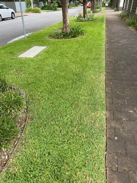 Allison Bunting - Regular lawn mowing