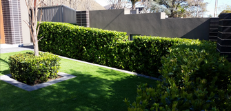 Andrew Craig - Lawn Maintenance