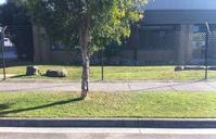 Antonio Di Iorio - Garden Maintenance 2