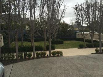 Antonio Di Iorio - Garden Maintenance Malvern