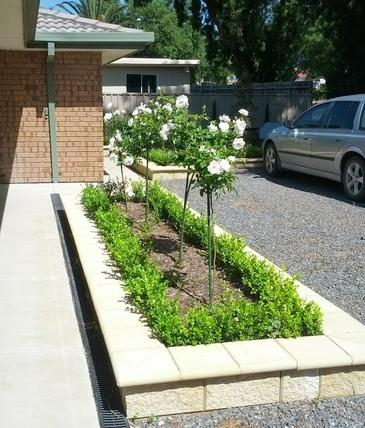 Ashley Davis - Garden Maintenance Front Yard 2