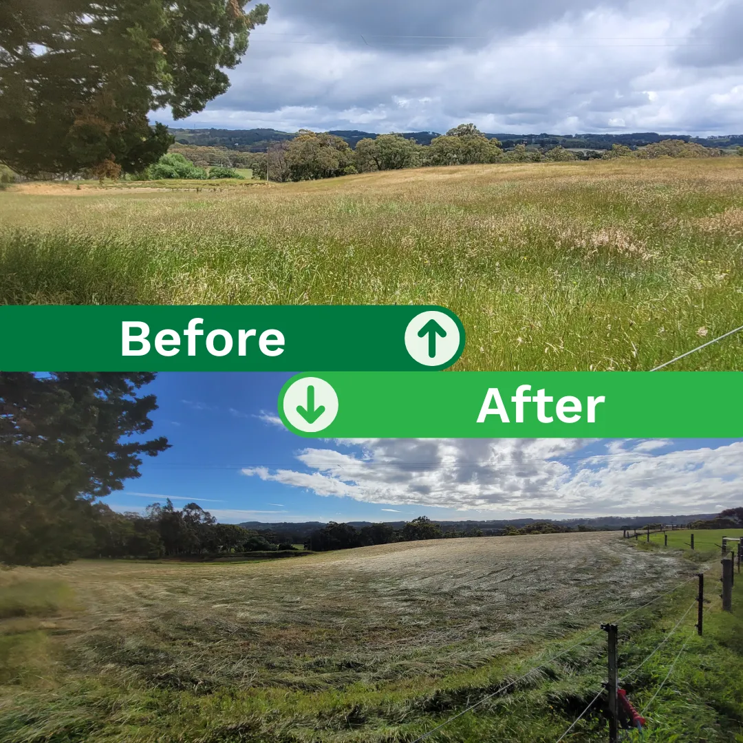 Ashley Davis - Lawn Before After 2025