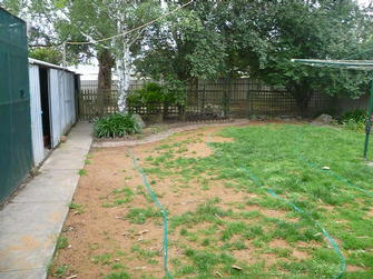Ashley Davis - Lawn Before Mount Barker