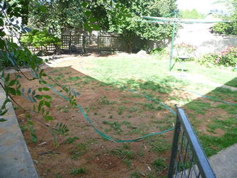 Ashley Davis - Lawn Before