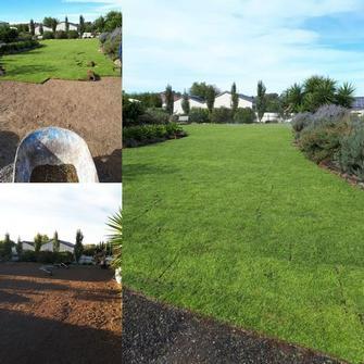 Ashley Davis - Lawn Installation