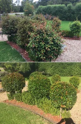 Brian Archibald - Hedging Before & After Cranbourne