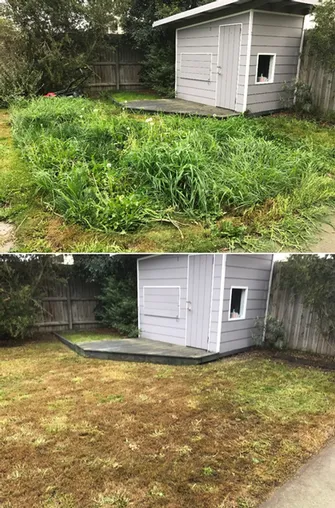 Brian Archibald - Lawn Before & After Clyde