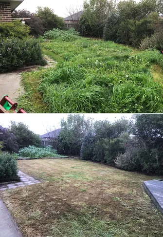 Brian Archibald - Lawn Before & After Cranbourne 2