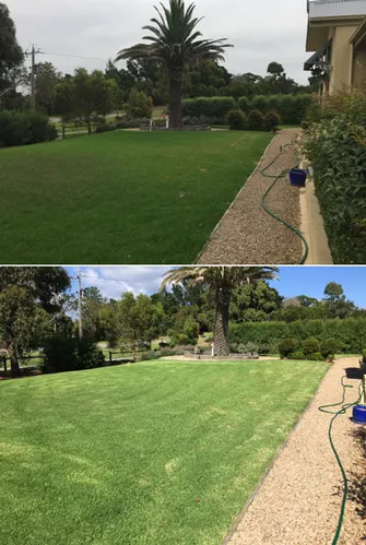 Brian Archibald - Lawn Before & After Cranbourne