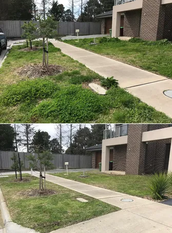 Brian Archibald - Lawn Before & After Junction Village