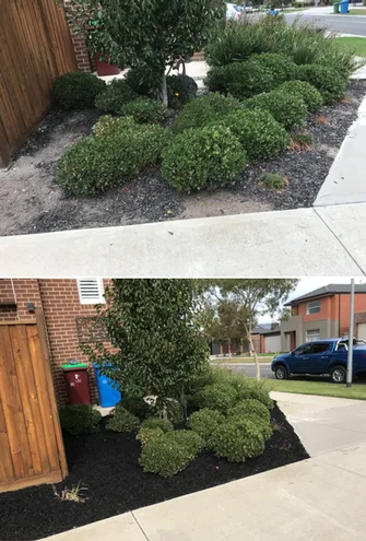 Brian Archibald - Mulching Before & After
