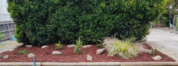Cam Boucher - Garden bed Phillip Island