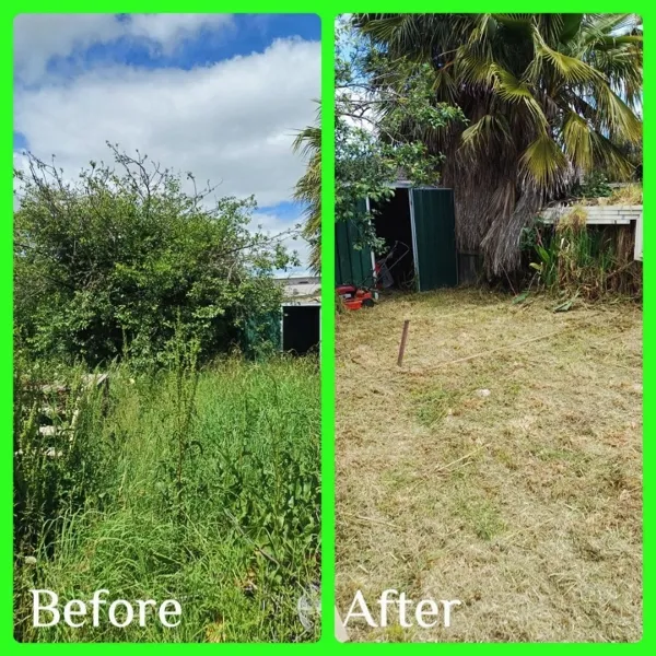 Cam Boucher - Lawn Before & After Pioneer Bay