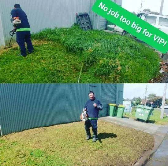 Cam Boucher - Lawn Before & After