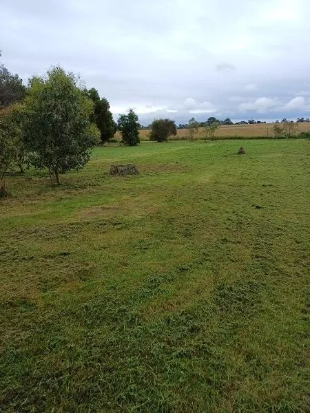 Cam Boucher - Lawn