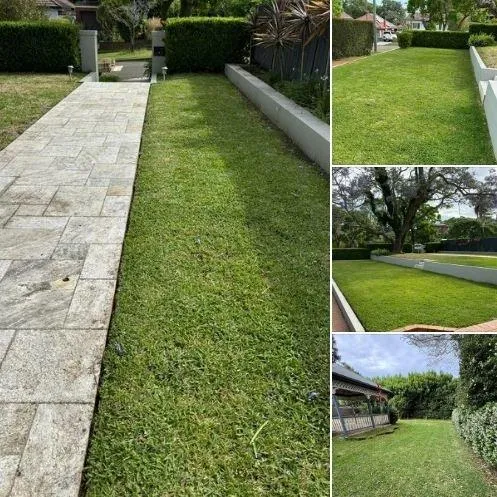 Daniel Eves - Landscape_1