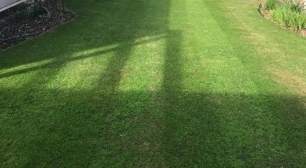 Daniel Eves - Lawn Mowing_1