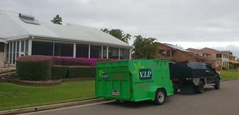 Gavin Miles - Bougainvillea Hedge 3