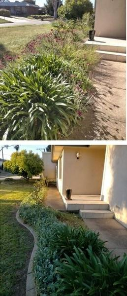 Hazim Becic - Garden tidy