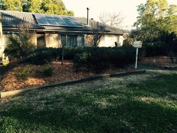 Lawn Care - Springwood