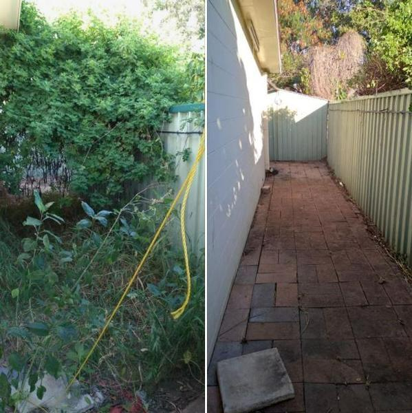 Paul Wilson - Garden Tidy Up