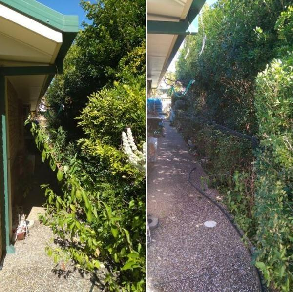 Paul Wilson - Hedging 3