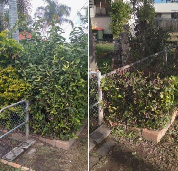 Paul Wilson - Hedging 4