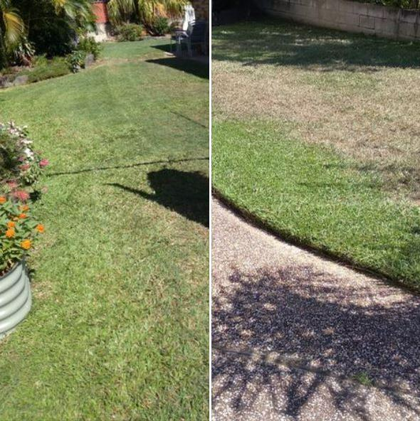 Paul Wilson - Lawn Maintenance