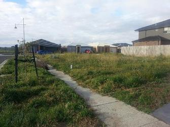 Peter Ash - Before & After - 1