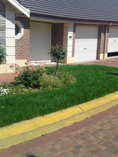 Peter Ault - Lawn Mowing Before