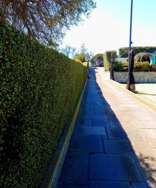 Troy Cassidy - Hedging before & after Beaconsfield