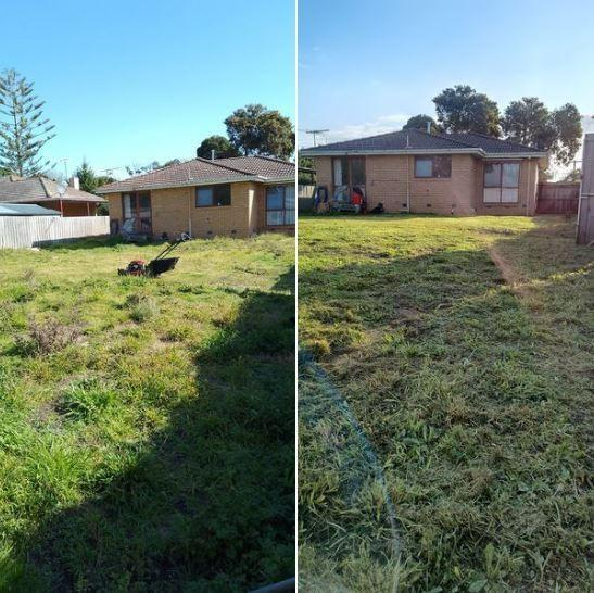 Troy Cassidy - Lawn before & after Beaconsfield