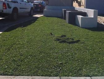 Andrew Cleverley - new lawn