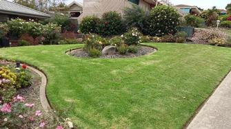 Damien Smith - lawn maintenance