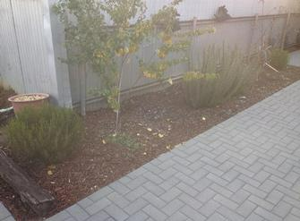 Dane Mueller - Landscaping & Irrigation in Fulham Gardens 3