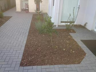Dane Mueller - Landscaping & Irrigation in Fulham Gardens 4