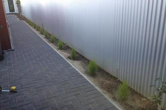 Dane Mueller - Landscaping & Irrigation in Fulham Gardens